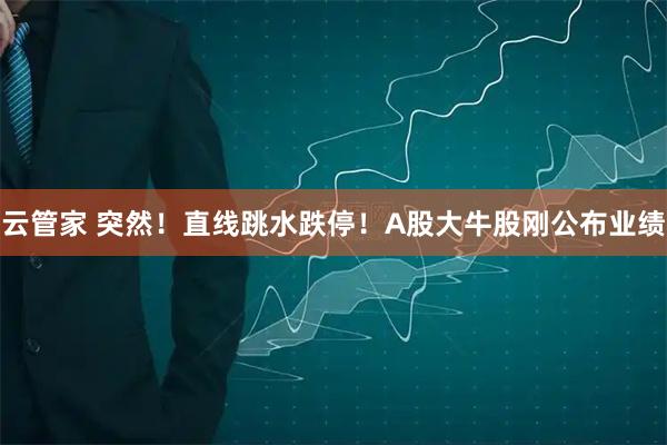 云管家 突然！直线跳水跌停！A股大牛股刚公布业绩