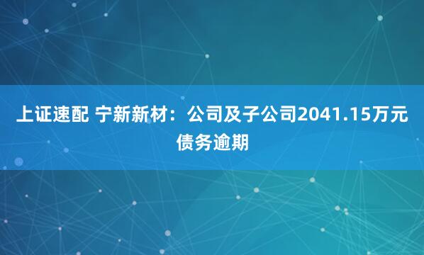 上证速配 宁新新材：公司及子公司2041.15万元债务逾期