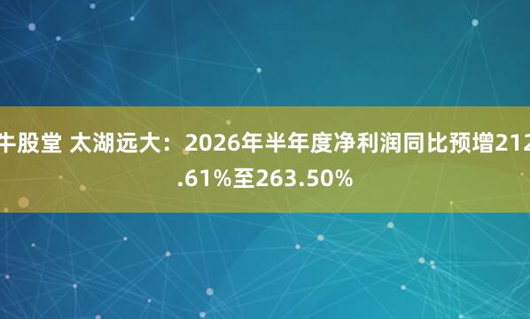 牛股堂 太湖远大：2026年半年度净利润同比预增212.61%至263.50%